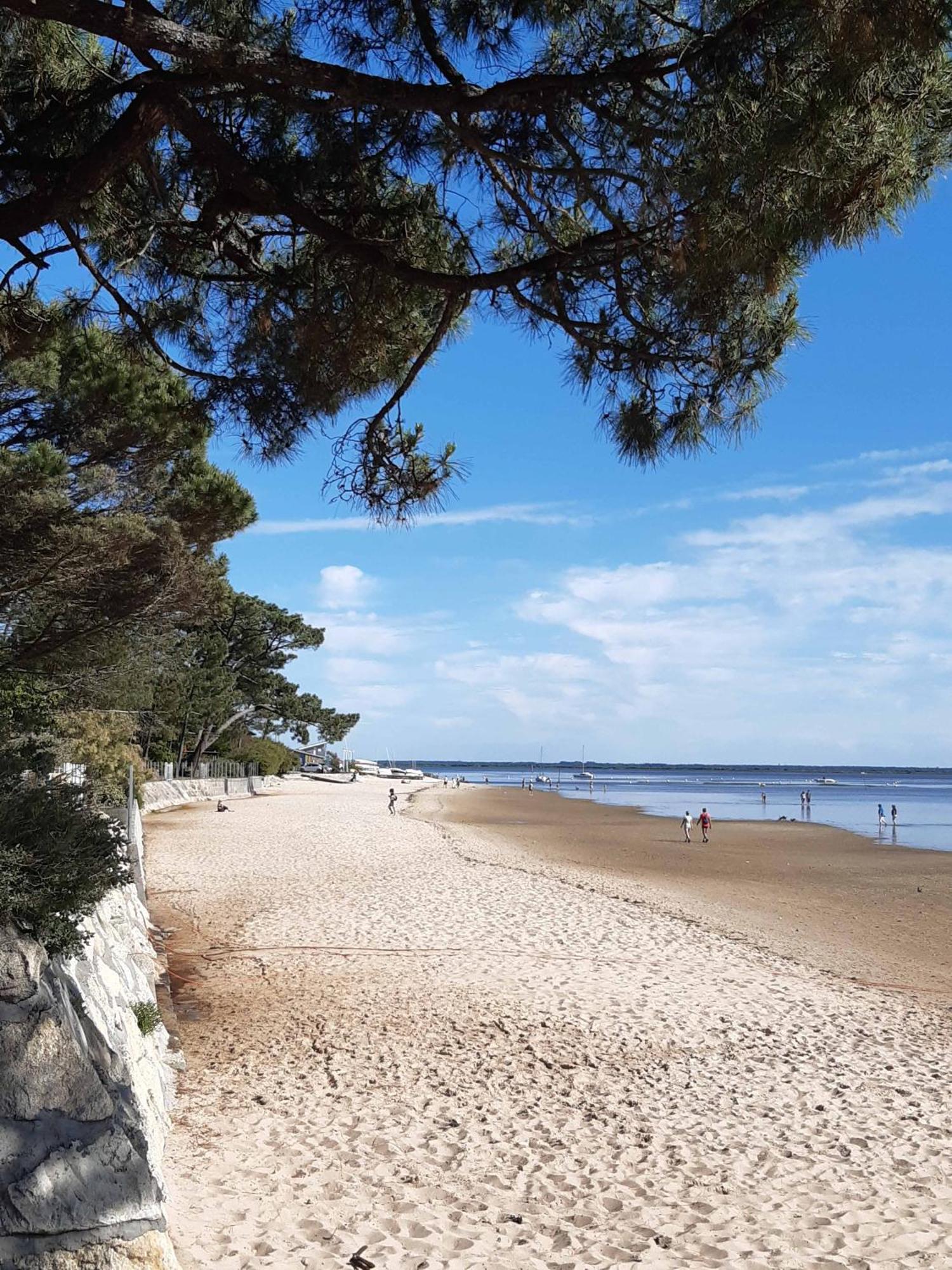 Gite Les 2 Pins - Audenge Esterno foto